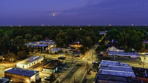 Montgomery Bloodmoon