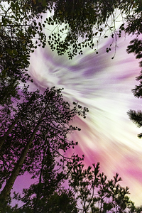 Boundary Waters Canoe Area Wilderness Aurora Borealis |  October 2024