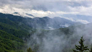 Great Smoky Mountains National Park