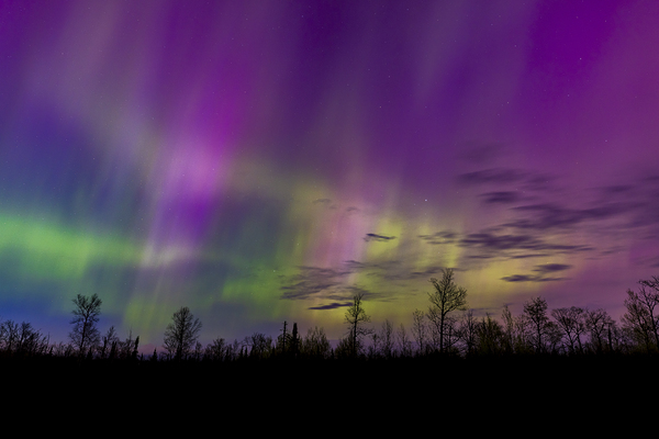 Homestead Aurora | May 2024 Print