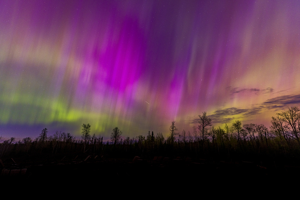 Homestead Aurora | May 2024 Print