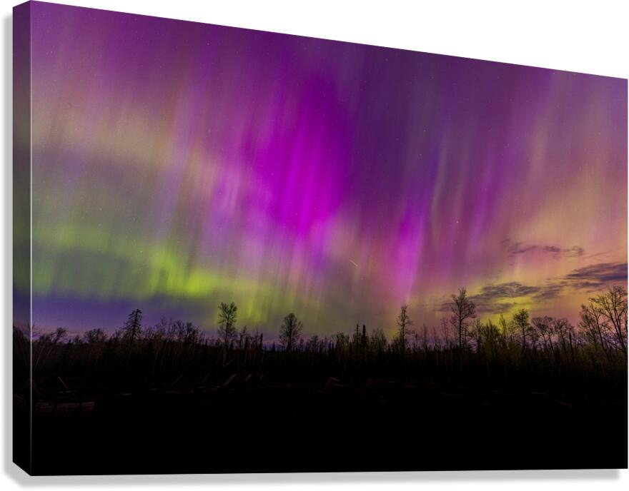 Homestead Aurora | May 2024 Canvas Print