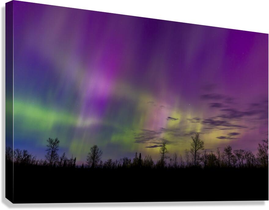Homestead Aurora | May 2024 Canvas Print