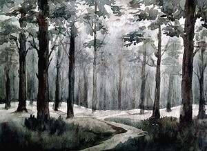 Misty Dense Forest
