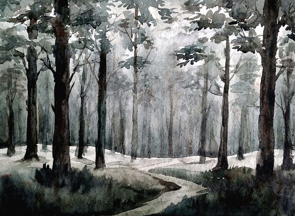 Misty Dense Forest by Samiran Sarkar