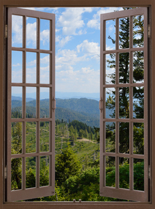 Walking in the Boise National Forest
