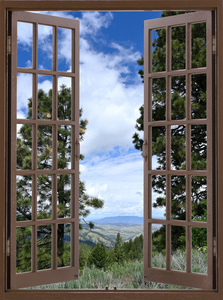 Walking a trail in the Boise National Forest