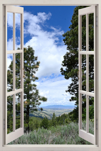 Walking a trail in the Boise National Forest