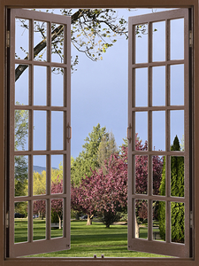 Enjoy the Flowering Trees in the Evening