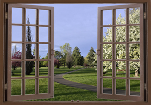 Evening Walk Among the Flowering Trees