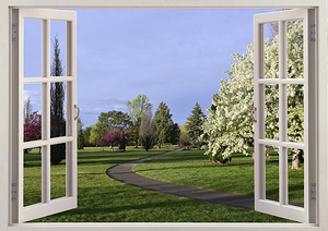 Evening Walk Among the Flowering Trees