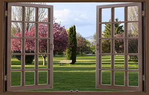 Evening in the Park Enjoying the Flowering  Trees