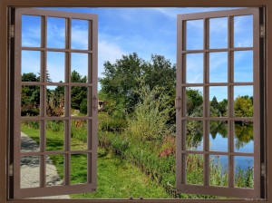  Lets Walk in the Park