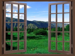 Meadow Nature Walk in the Country