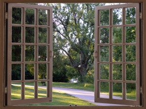 Evening Walk Beside the River