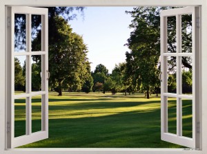 Evening Stroll in the Grass