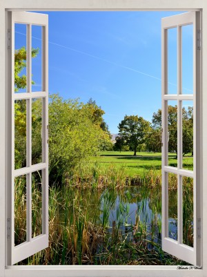 Stroll Through the Park