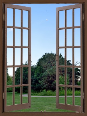 Evening Walk Under the Moon