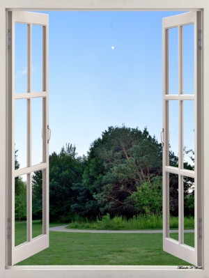 Evening Walk Under the Moon