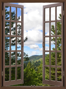 Pine Trees and Grassy Hills