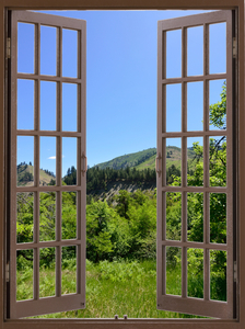Walk in a meadow in the woods