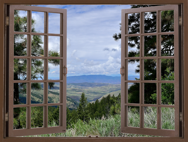 Walking the Redtail Trail in Boise National Forest Print