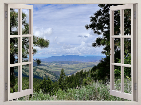 Walking the Redtail Trail in Boise National Forest Print