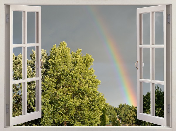 Summer Rainbow Over Trees Print