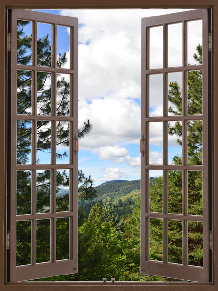 Pine Trees and Grassy Hills  Print