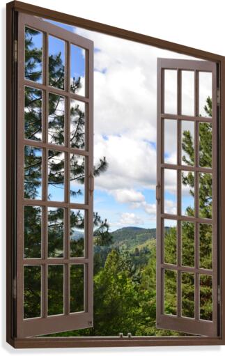 Pine Trees and Grassy Hills  Canvas Print