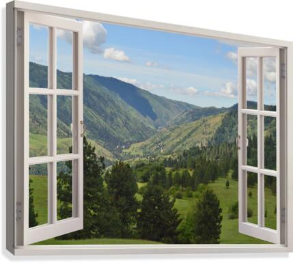 Sheltered by Pines Meadow Walk with Distant Hills Canvas Print