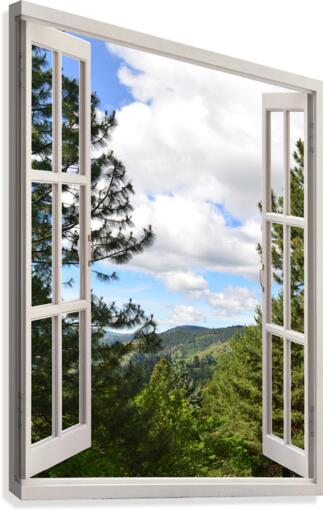 Pine Trees and Grassy Hills Canvas Print