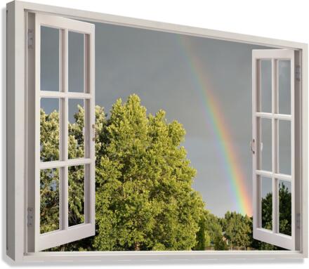 Summer Rainbow Over Trees Canvas Print