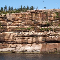 ABSTRACT CLIFFS NO.1