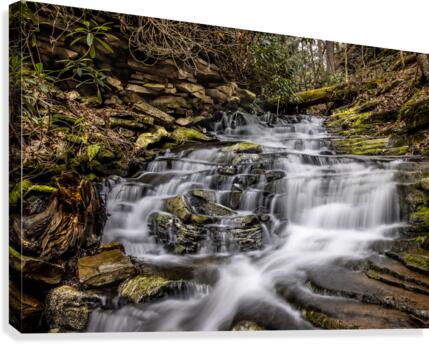 Rainbow Falls Canvas Print