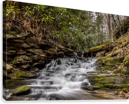 RainBow Falls Canvas Print