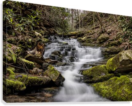Rainbow Falls Canvas Print