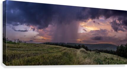 Isolated Canvas Print