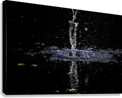 Purple Rain  Canvas Print