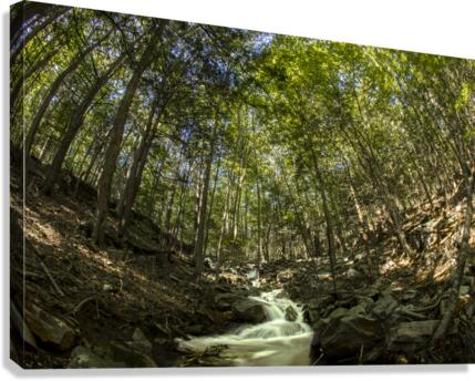Ghost Creek Canvas Print