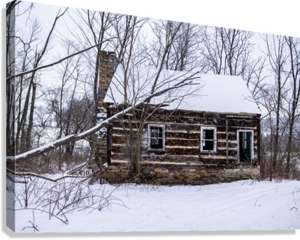 Isolation Canvas Print