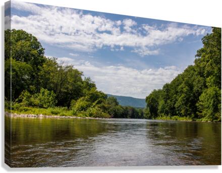 Floating Canvas Print