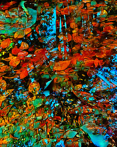 Begin Frozen Puddle Refraction
