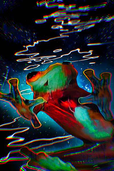Flip-Off Frog by Studio IconoGraffiti