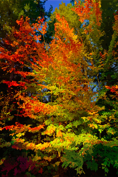 Fall Falls by Studio IconoGraffiti