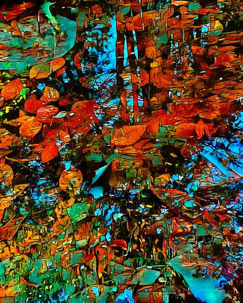 Begin Frozen Puddle Refraction by Studio IconoGraffiti