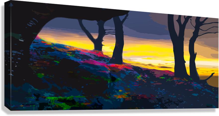 Rainbow Forest Sunset Canvas Print