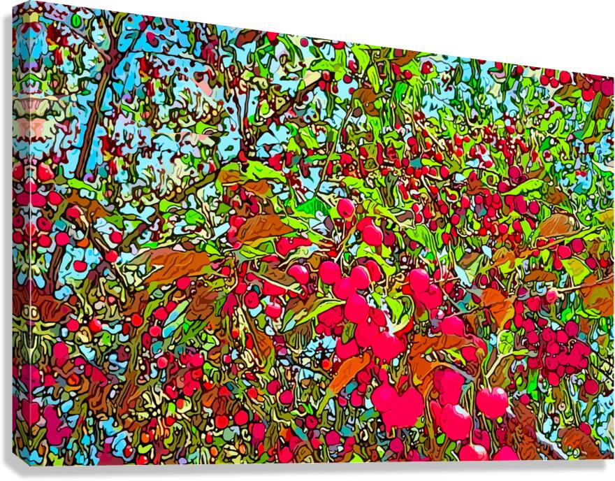 Psychedelic Cherries Canvas Print