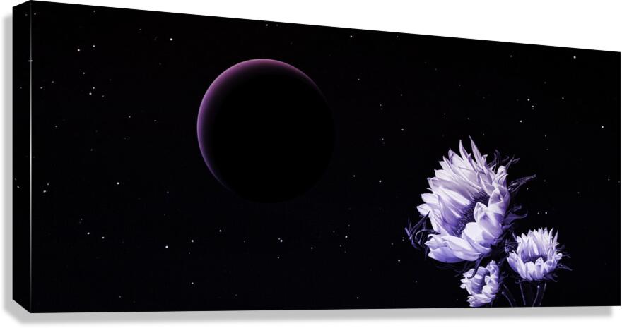 Dark Compulsions Canvas Print