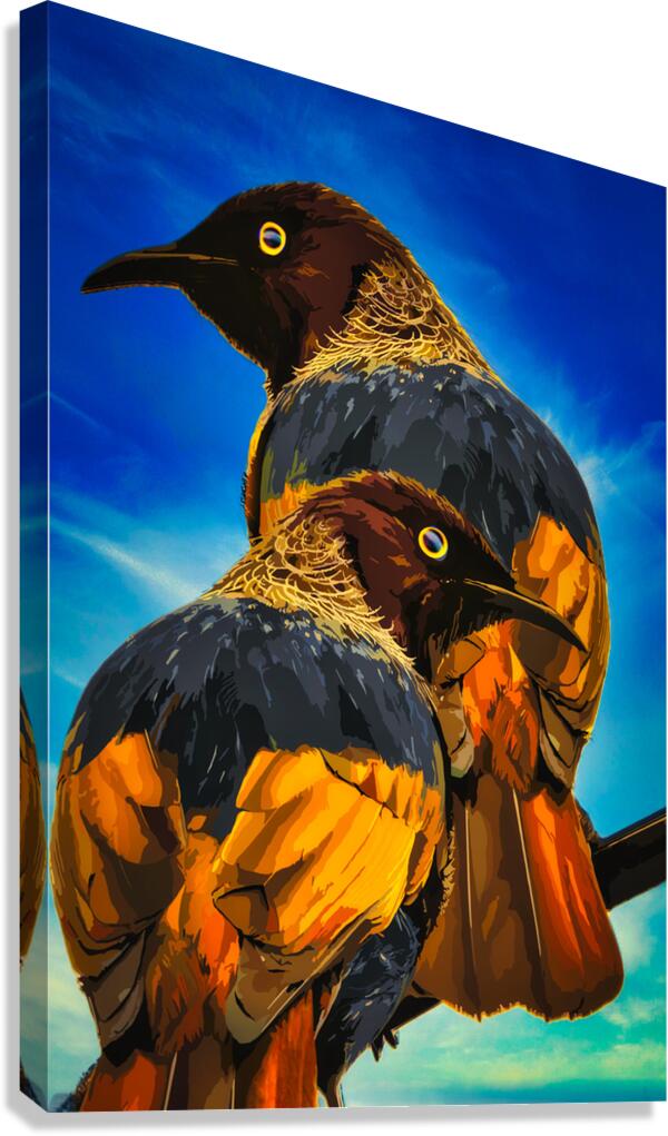 Bird Bros Canvas Print